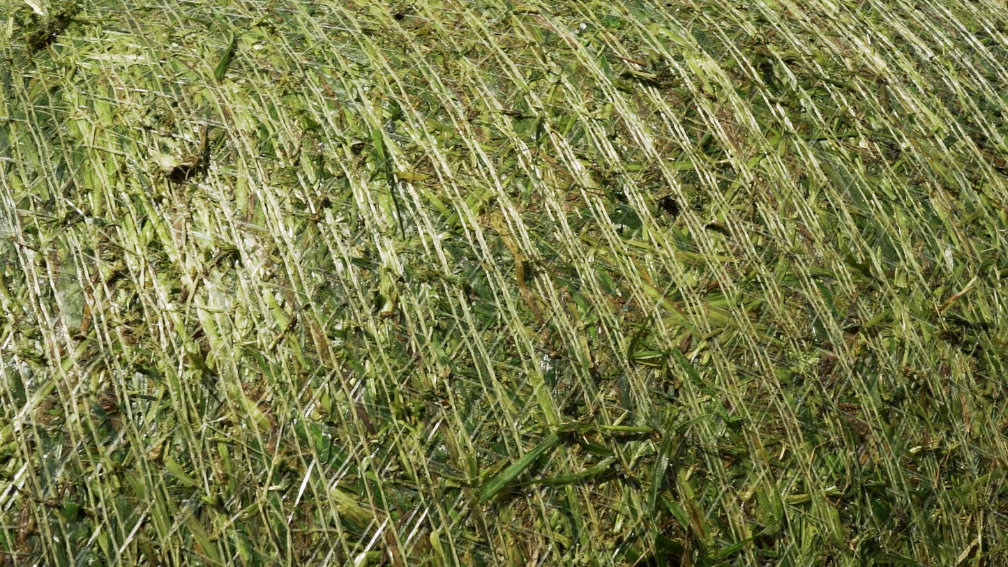 Grass Bale wrapped in Farmer's E2E Netwrap