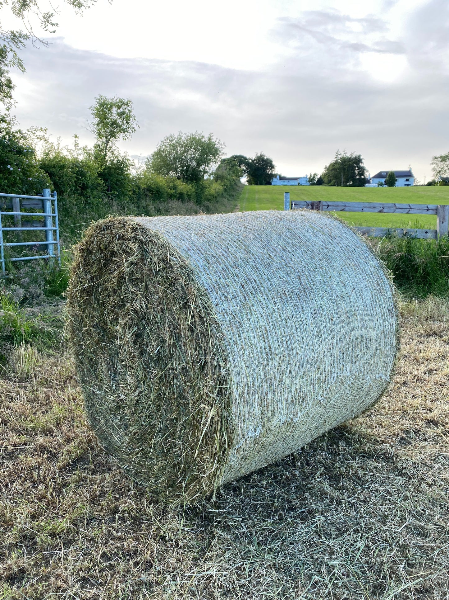 Round hay bale wrapped in Farmers E2E Netwrap